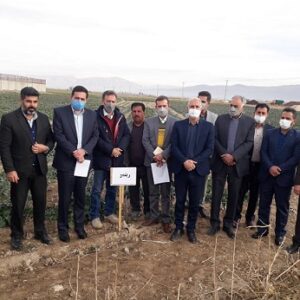 رئیس سازمان جهاد کشاورزی فارس از مرودشت بازدید کرد